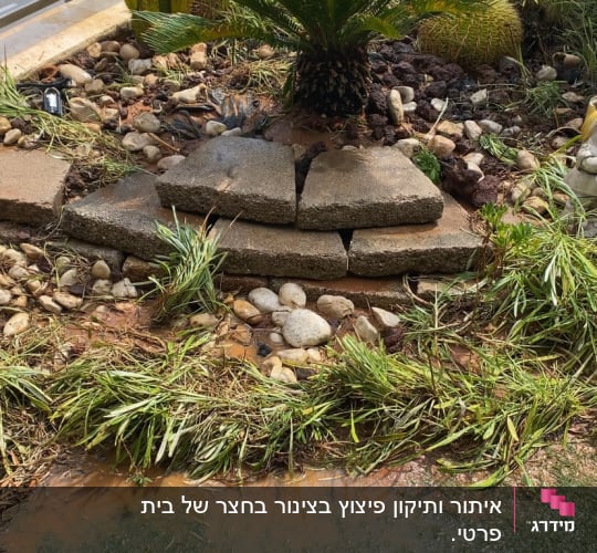 גינה עם צמחים ואבנים, מים על הקרקע